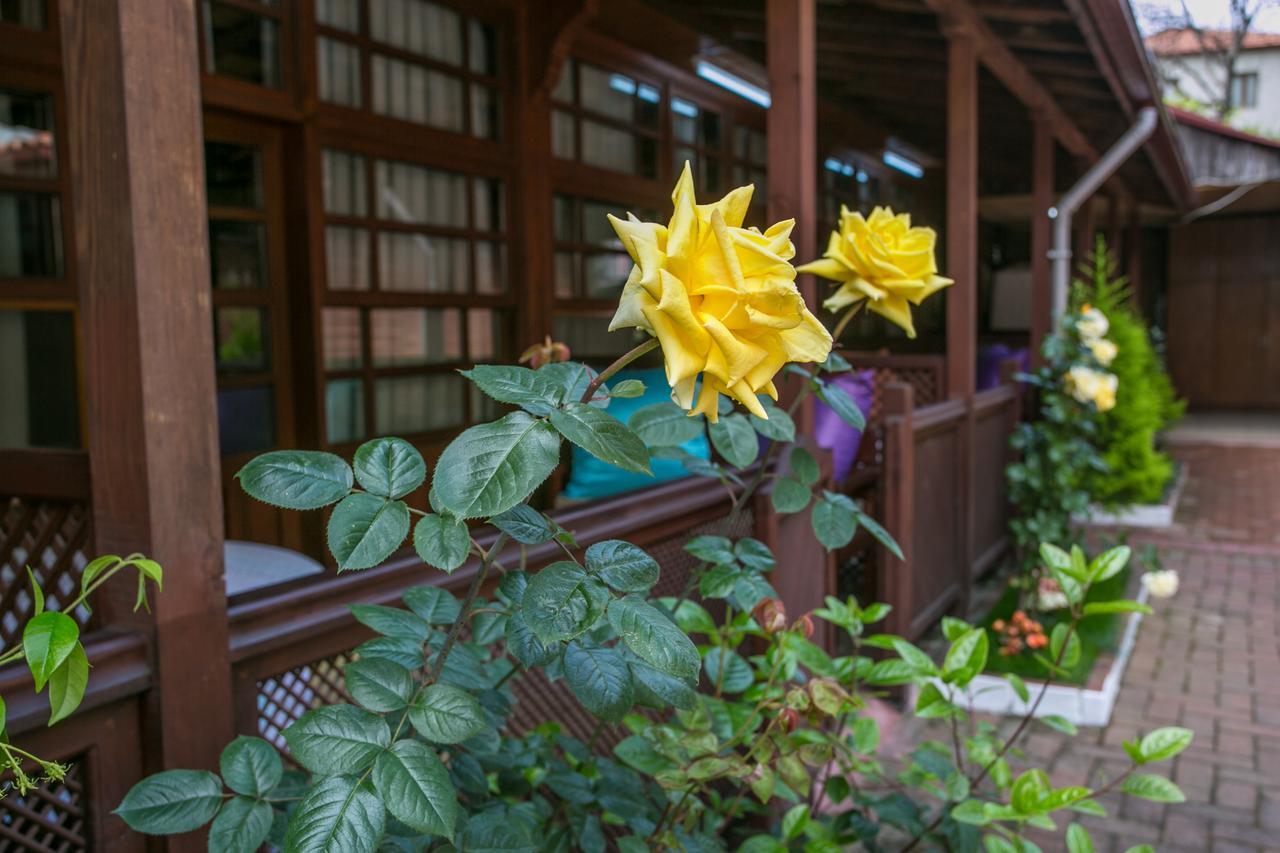 Carsi Pansiyon Amasra Exterior foto